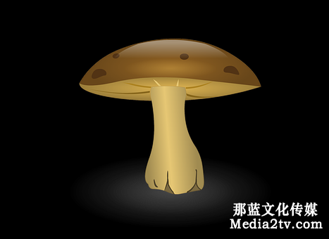 mg動畫制作