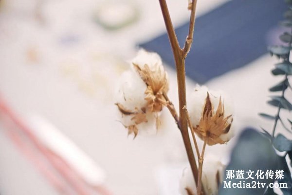 廣告宣傳片制作