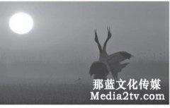 主旋律紀(jì)錄片國家形象的國際化傳播探究