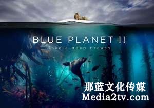 紀(jì)錄片部落-高清紀(jì)錄片下載:紀(jì)錄片制作的經(jīng)費(fèi)預(yù)算說明 紀(jì)錄片部落-高清紀(jì)錄片下載:紀(jì)錄片制作的經(jīng)費(fèi)預(yù)算說明