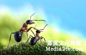 紀(jì)錄片部落-高清紀(jì)錄片下載:紀(jì)錄片表現(xiàn)中的三種鏡頭時(shí)態(tài)：過(guò)去，現(xiàn)在和將來(lái)