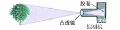 從＂辣眼睛＂到＂美哭了＂，淺談無人機(jī)的影像
